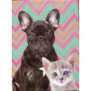 Pamiętnik brokatowy A6/80 Studio Pets Pies i Kot